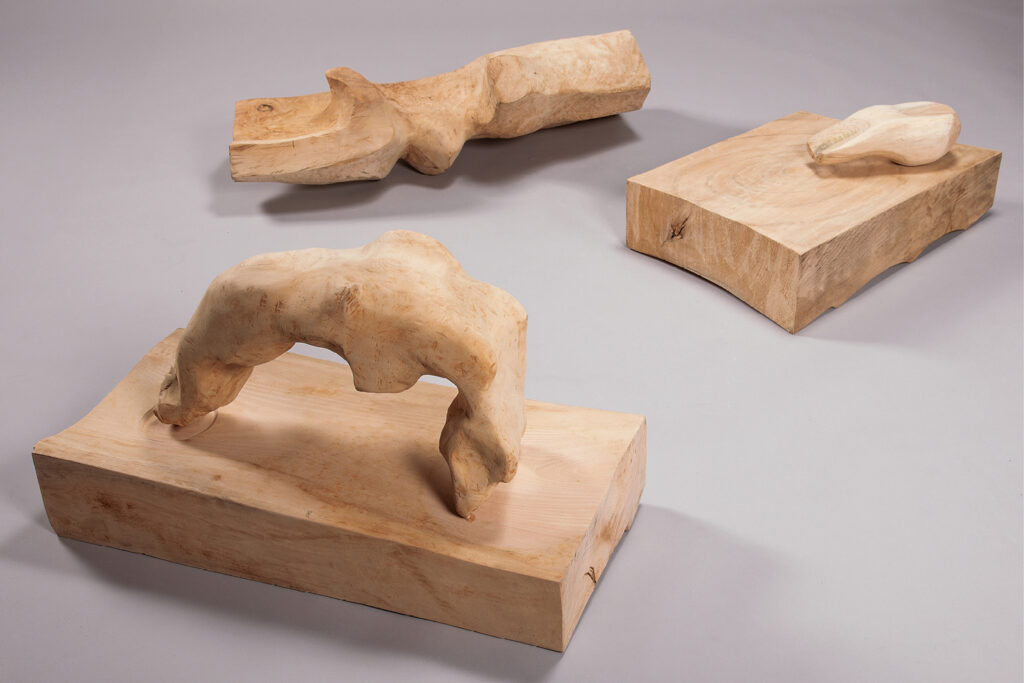 Voice〝森の声〟