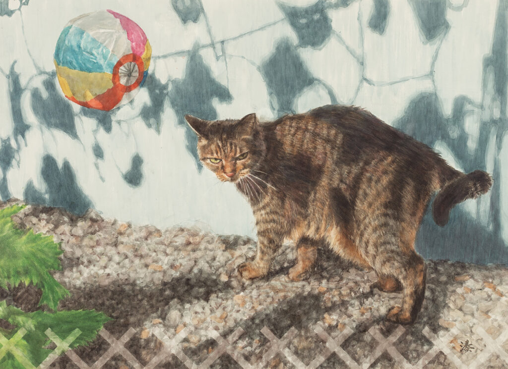 キャッツドリーム