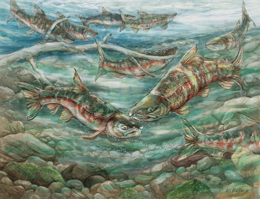 母なる川へ(初秋)